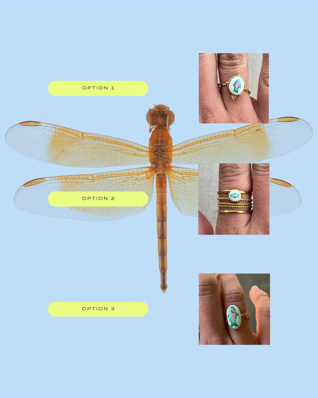 Trout Ring with white background