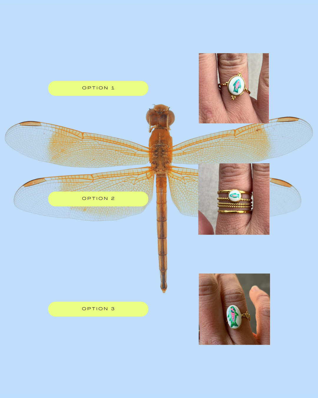 Trout Ring with white background