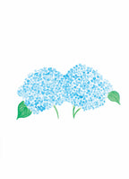 Pre-Order Pocket Print Variety Pack - All 17 Prints