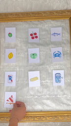 Pre-Order Pocket Print Variety Pack - All 17 Prints