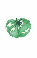 Pre-Order Pocket Print Variety Pack - All 17 Prints