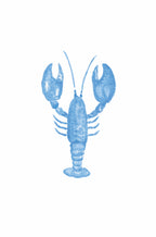 Pre-Order Pocket Print Variety Pack - All 17 Prints