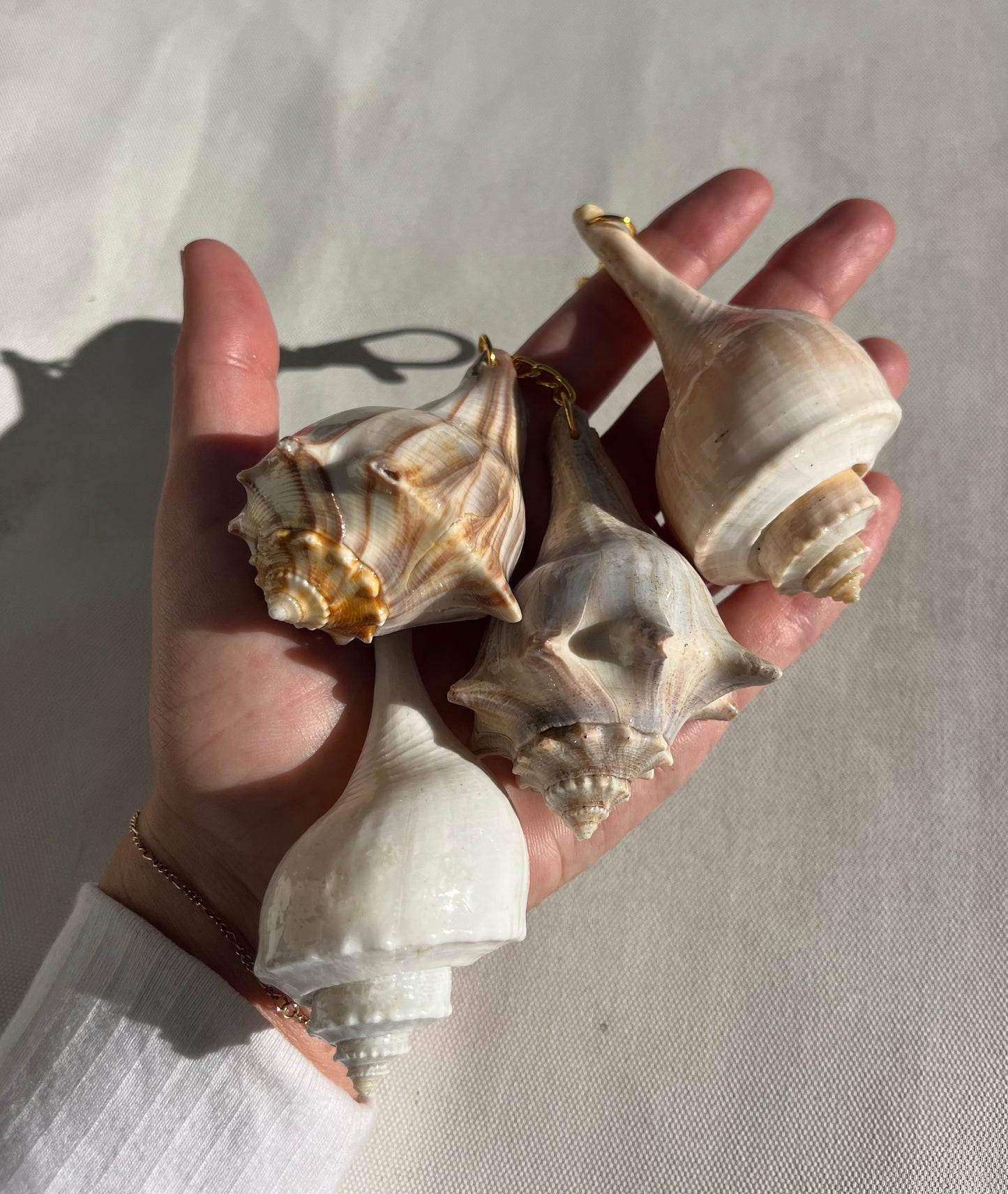 Conch Seashell Keychain