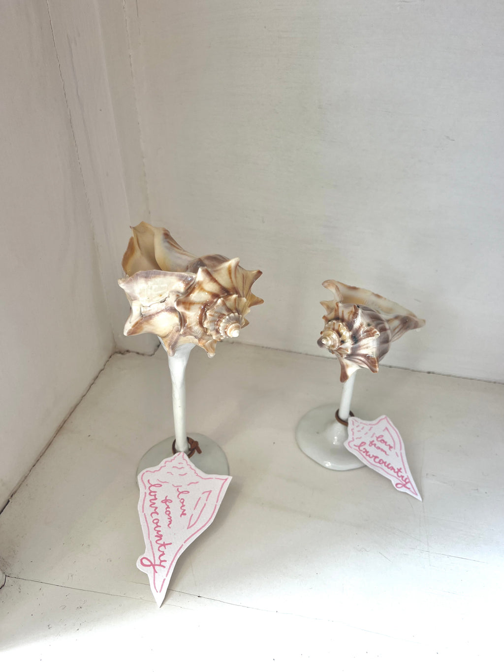 Conch Shell Wine / Martini Glass