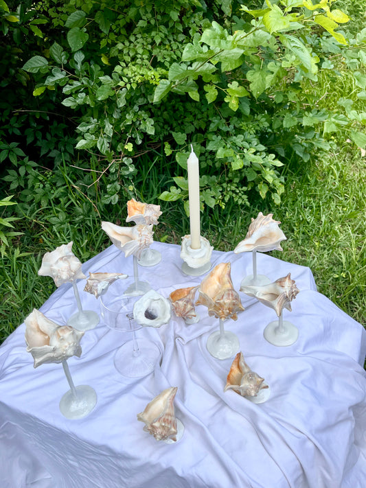 Conch Shell Wine / Martini Glass