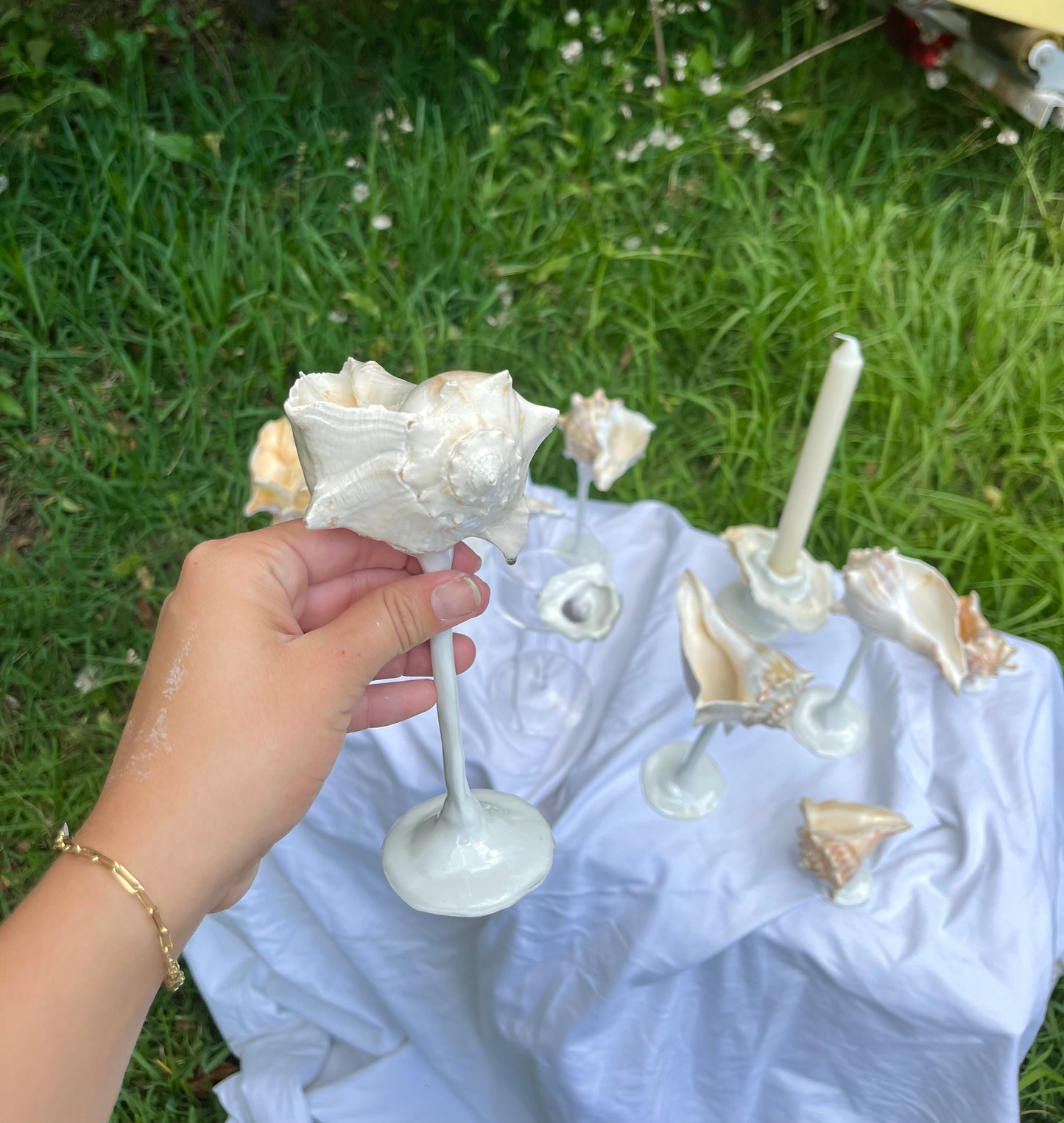 Conch Shell Wine / Martini Glass