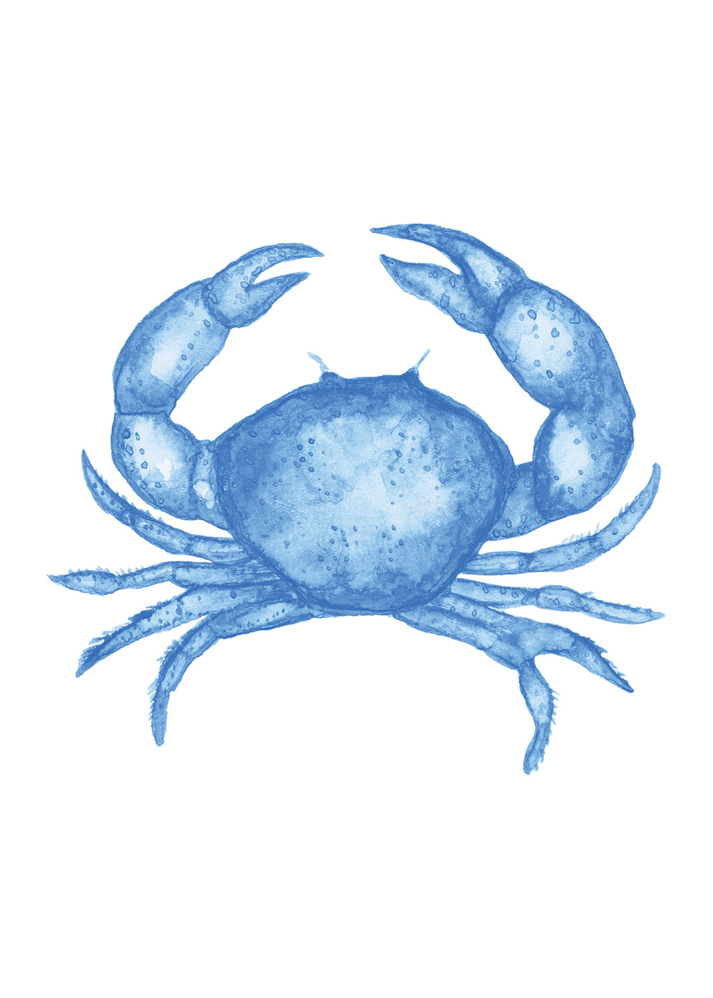 Pre-Order Pocket Print Variety Pack - All 17 Prints