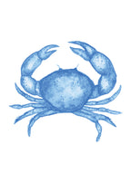 Pre-Order Pocket Print Variety Pack - All 17 Prints