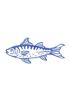 Pre-Order Pocket Print Variety Pack - All 17 Prints