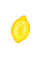 Pre-Order Pocket Print Variety Pack - All 17 Prints