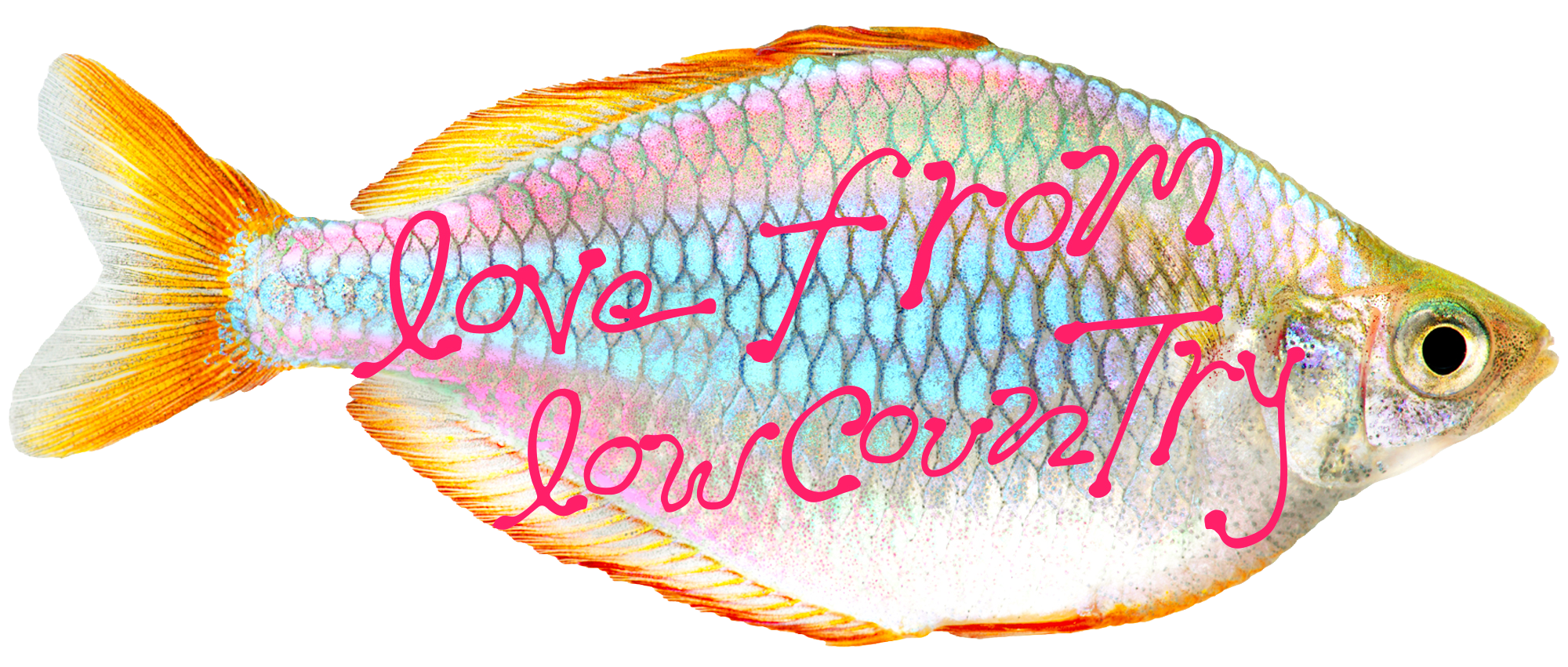 Love from Lowcountry