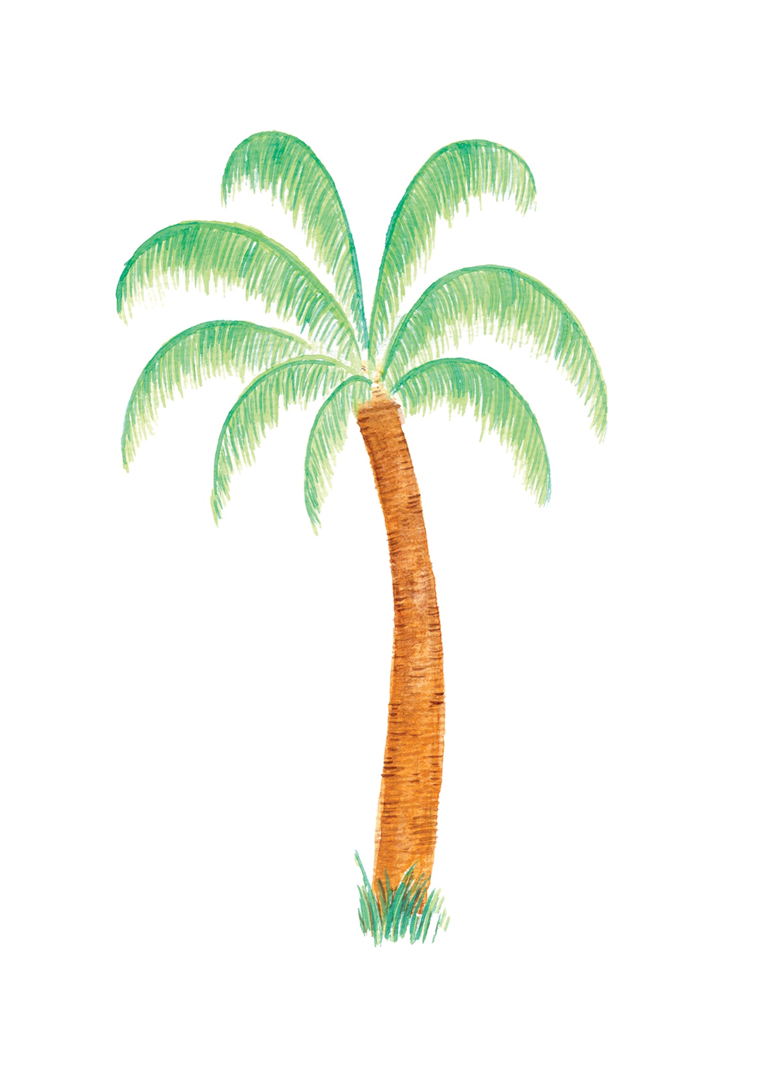 Pre-Order Pocket Print Variety Pack - All 17 Prints