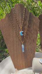 Blue Fish Necklace