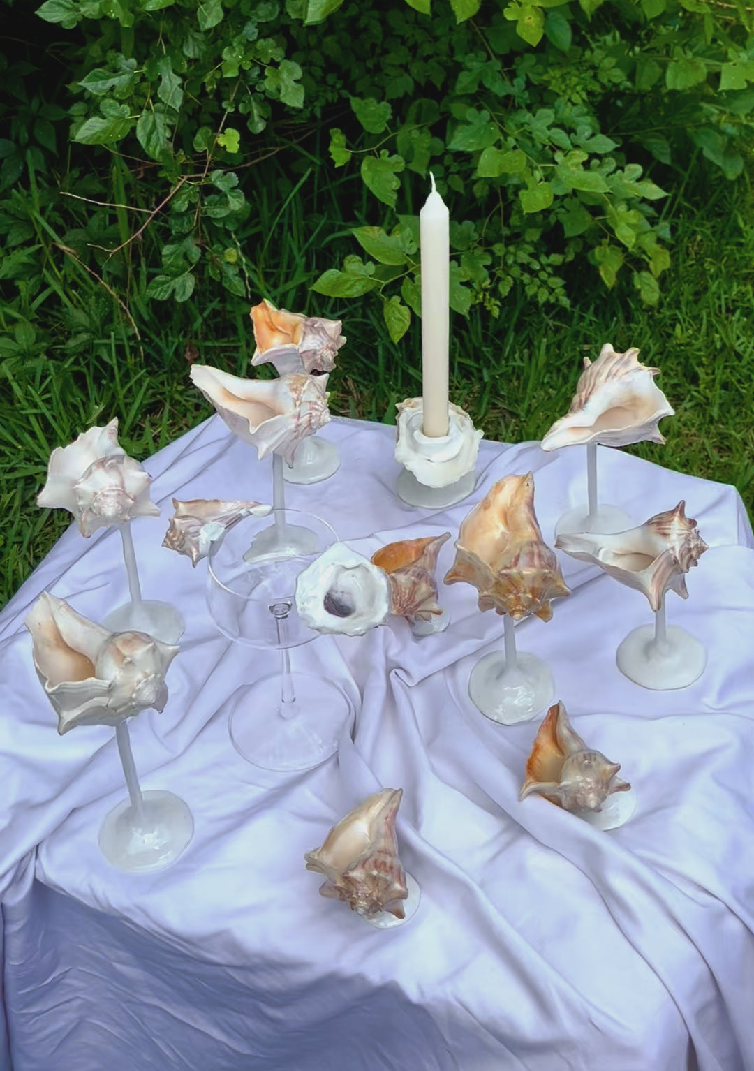 Conch Shell Wine / Martini Glass