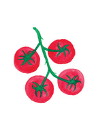 Pre-Order Pocket Print Variety Pack - All 17 Prints